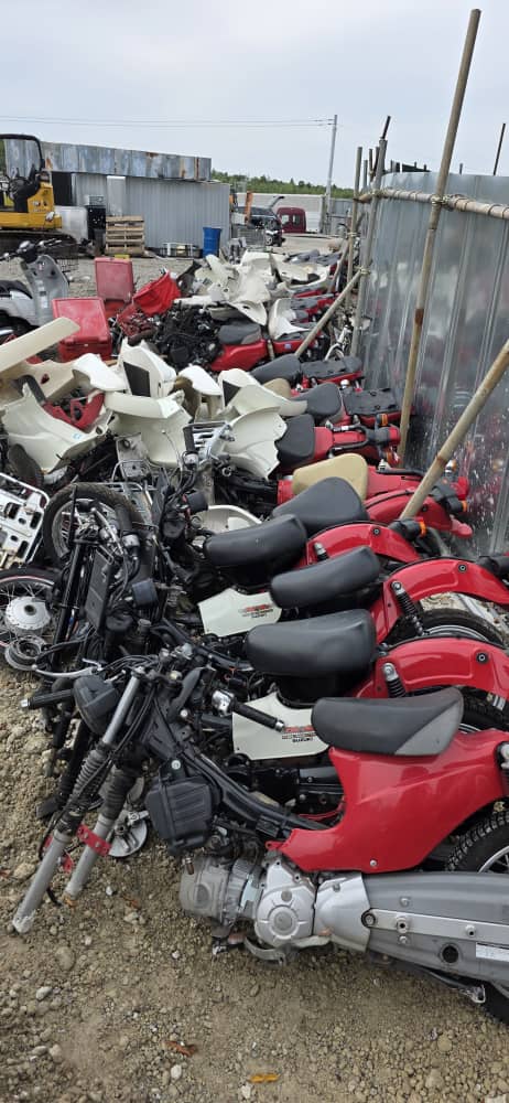 Motorcycles in yard